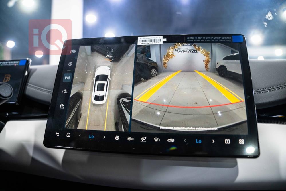 بي واي دي سيل 06 DM-i